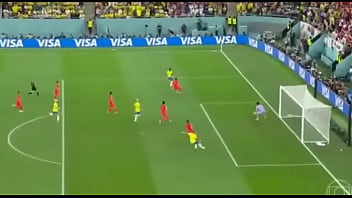 Brazil Mercilessly Pounding South Korea’s Tight Ass From Behind